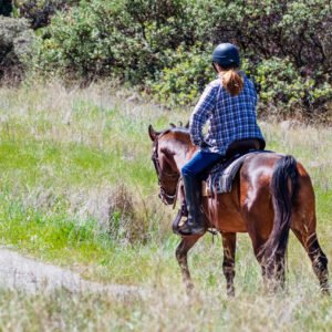 Unidentified woman riding a horse on the hills of south San Francisco bay area, Santa Clara county, San Jose, California